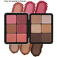 12 Color Blush Concealer Set