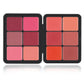 12 Color Blush Concealer Set