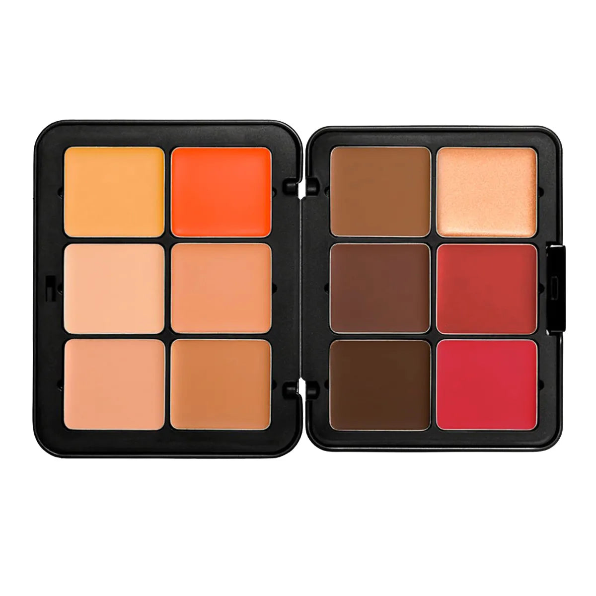 12 Color Blush Concealer Set